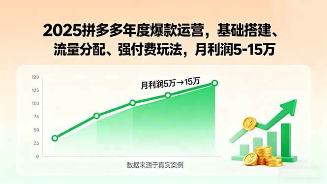 （15973期）2025拼多多年度爆款运营，基础搭建、流量分配、强付费玩法，月利润5-15万-吾藏分享