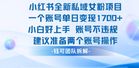 小红书全新私域女粉项目 单日变现1k+ 小白好上手账号不违规-吾藏分享