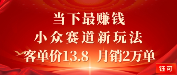 当下最挣钱的小众赛道 小红书新玩法10个作品涨粉3W，客单价13.8 月销2W单-吾藏分享