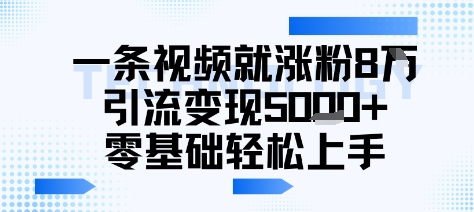 一条视频就涨粉8W引流变现5k+，0基础项目轻松上手-吾藏分享