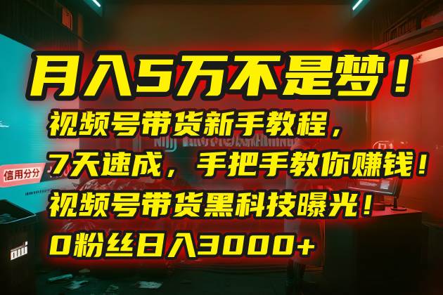 （15595期）月入5万不是梦！视频号带货新手教程，7天速成，手把手教你赚钱！视频号…-吾藏分享