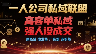一人公司私域联盟，高客单私域，强人设成交，建私域 搞发售 广结盟 造势能-吾藏分享