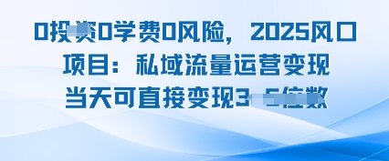 0学费0风险，2025风口项目：私域流量运营变现，当天可直接变现-吾藏分享