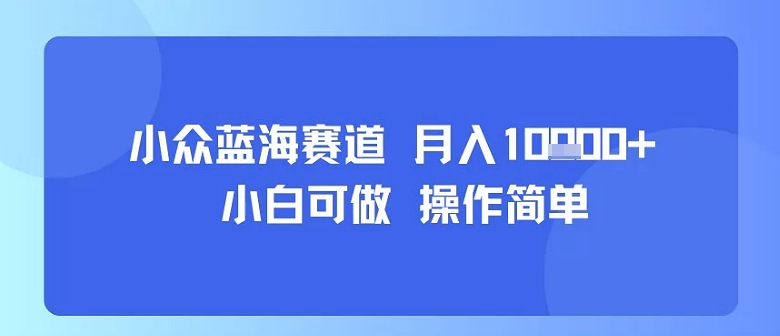 小众蓝海赛道，小白可做，操作简单，每天30分钟，月入1W+-吾藏分享