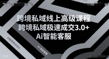 跨境私域线上高级课程，跨境私域极速成交3.0+Ai智能客服-吾藏分享