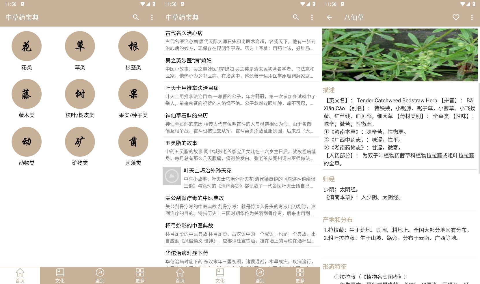 安卓中草药宝典v2.6.12纯净版-吾藏分享