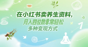 在小红书卖养生资料，月入四位数非常轻松，多种变现方式-吾藏分享