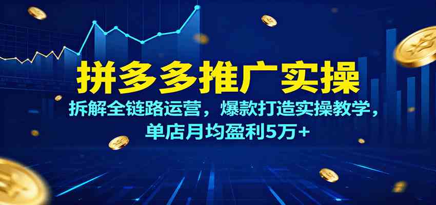拼多多推广实操，拆解全链路运营，爆款打造实操教学，单店月均盈利5万+-吾藏分享