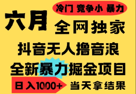 25年6月高爆抖音无人直播最新撸音浪掘金项目，小白可做，无脑日入1k+，门槛低可批量矩阵【揭秘】-吾藏分享