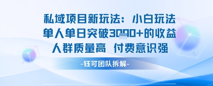 私域项目新玩法小白玩法单人单日突破1k的收益人群质量高付费意识强-吾藏分享