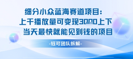 小众蓝海赛道项目：当天变现1k+适合新手操作 +适合长期玩-吾藏分享