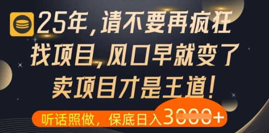 什么？25年你还在疯狂找项目做，醒醒吧，看完这些你全都懂了【揭秘】-吾藏分享