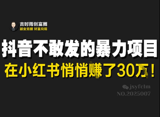 抖音不敢发的暴利项目，在小红书悄悄挣了30W-吾藏分享