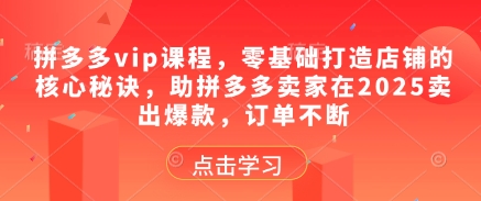 拼多多vip课程，零基础打造店铺的核心秘诀，助拼多多卖家在2025卖出爆款，订单不断-吾藏分享