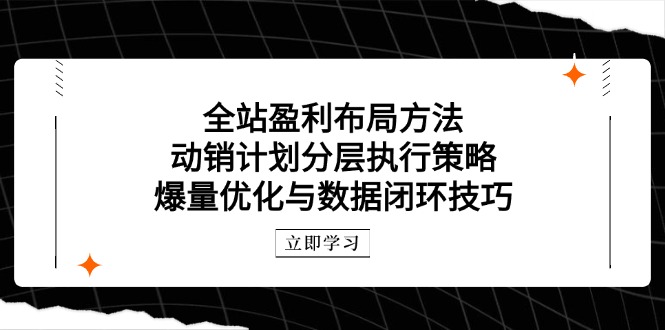 全站盈利布局方法：动销计划分层执行策略，爆量优化与数据闭环技巧-吾藏分享