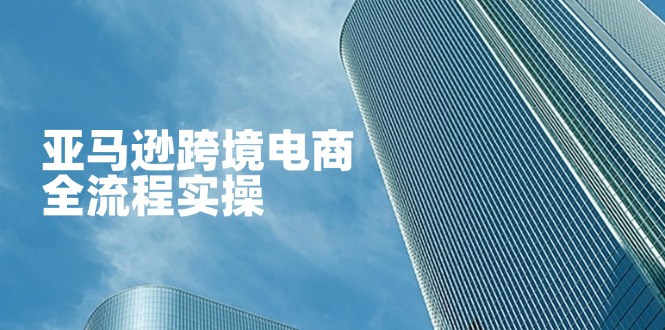 亚马逊跨境电商全流程实操，教你从零开始，掌握店铺运营与广告技巧-吾藏分享