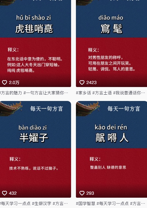 抖音最新涨粉玩法，图文方言暴力涨粉实操，126作品涨粉11W-吾藏分享