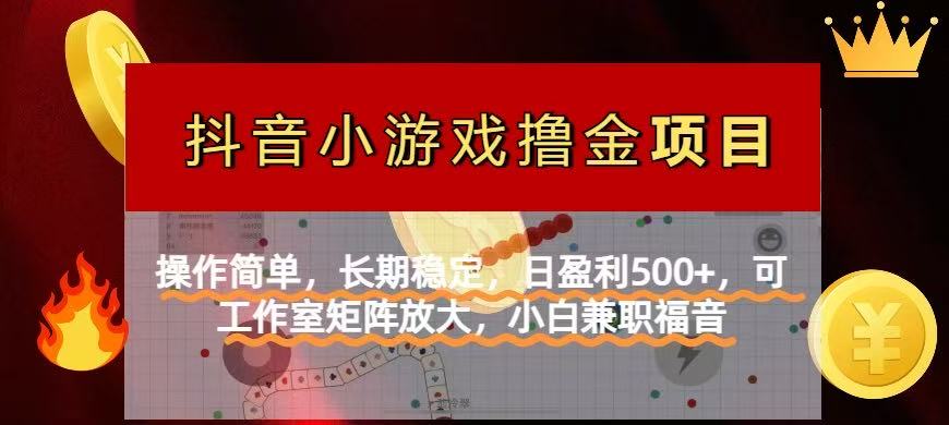 【抖音小游戏发行人计划项目】操作简单，长期稳定，日盈利500+，可工作…-吾藏分享