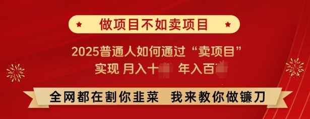 必看，做项目不如卖项目，2025普通人如何通过“卖项目”实现月入十个，年入百个-吾藏分享