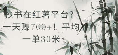 抄书在小红薯平台？平均一单30米，一天收益几张！-吾藏分享