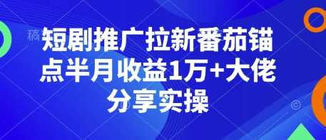 短剧推广拉新番茄锚点半月收益1万+大佬分享实操-吾藏分享