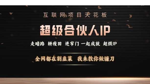 互联网项目天花板，超级合伙人IP，全网都在割韭菜，我来教你做镰刀【仅揭秘】-吾藏分享