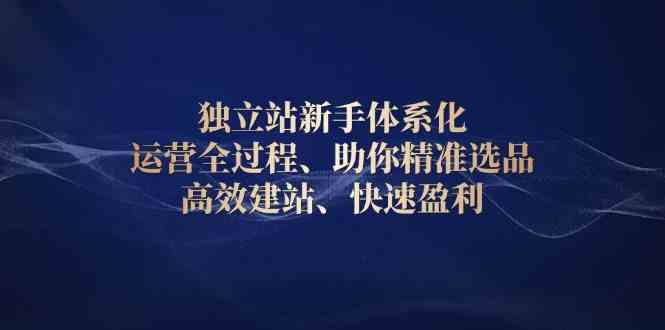 独立站新手体系化 运营全过程，助你精准选品、高效建站、快速盈利-吾藏分享
