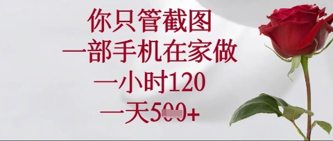 你只管截图，一部手机在家操作，一小时120.一天5张【揭秘】-吾藏分享