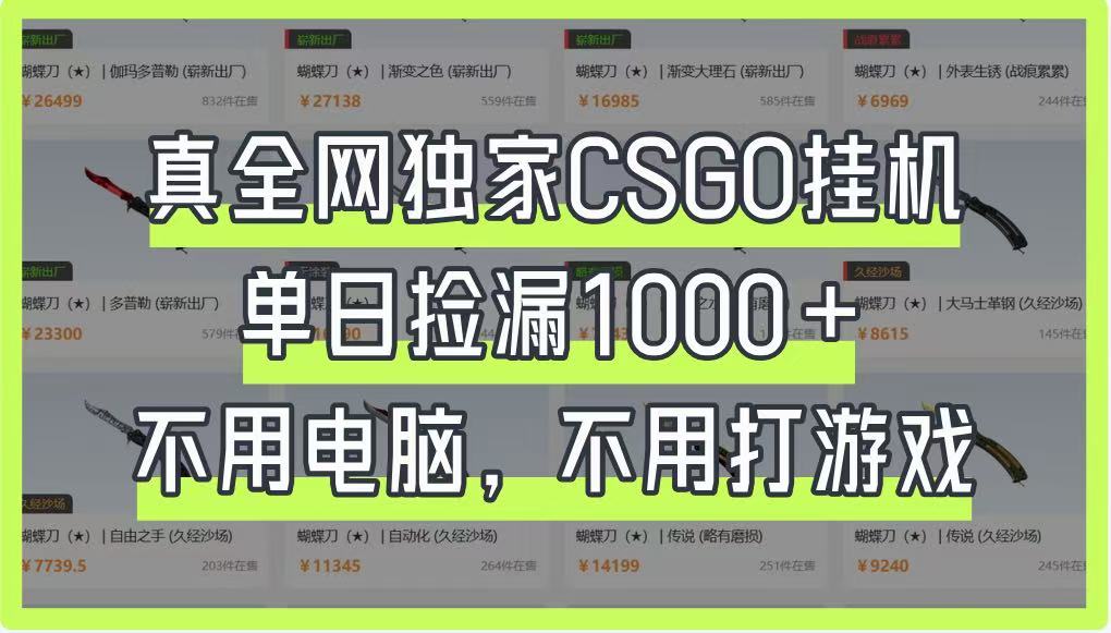 真全网独家CSGO挂机，单日捡漏1000+，不用电脑，不用养号-吾藏分享