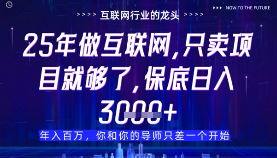 什么！25年你还在找项目做？风口早就变了，卖项目才是稳挣不赔【揭秘】-吾藏分享