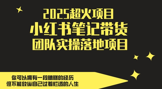 2025超火项目，副业最佳选择，小红书笔记带货团队实操落地项目，，轻松日入5张-吾藏分享