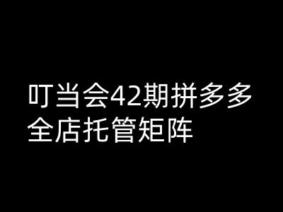 叮当会拼多多打爆班原创高阶技术第42期，拼多多全店托管矩阵-吾藏分享
