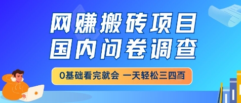 网创搬砖项目，国内问卷调查，小白轻松上手，一天三四张的也不难，干就完了【揭秘】-吾藏分享
