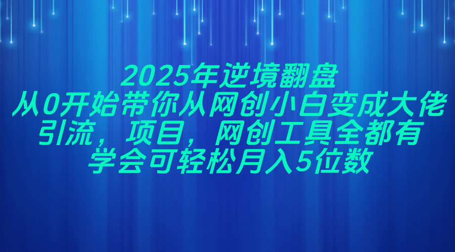 2025年逆境翻盘，从0开始带你从网创小白变成大佬，引流，项目，网创工…-吾藏分享