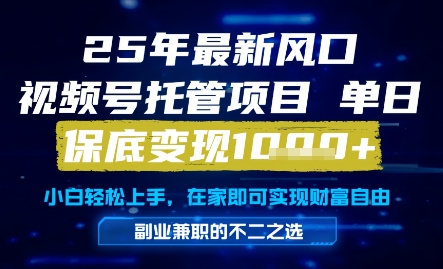 25年最新风口，视频号托管项目，单日保底变现1k+，手把手教学【揭秘】-吾藏分享
