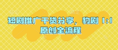 短剧推广干货分享，豹剧 1:1原创全流程-吾藏分享