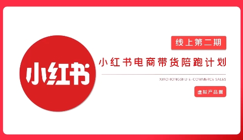 2025小红书虚拟电商实战课，从0到1打造无货源店铺，AI+爆款笔记轻松变现-吾藏分享