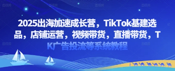 2025出海加速成长营，TikTok基建选品，店铺运营，视频带货，直播带货，TK广告投流等系统教程-吾藏分享