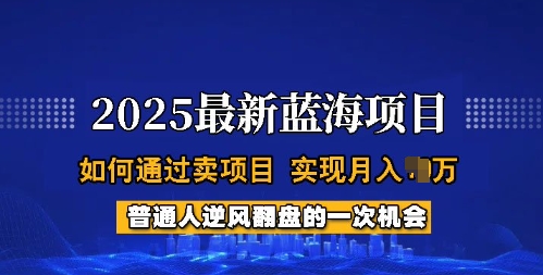 2025蓝海项目，普通人如何通过卖项目，实现月入过W，全过程【揭秘】-吾藏分享