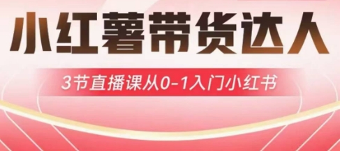 小红薯达人带货启航计划，3节直播课从0-1入门小红书-吾藏分享