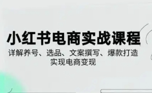 小红书从0-1实操课(2023-2025)，详解养号、选品、文案撰写、爆款打造实现电商变现-吾藏分享