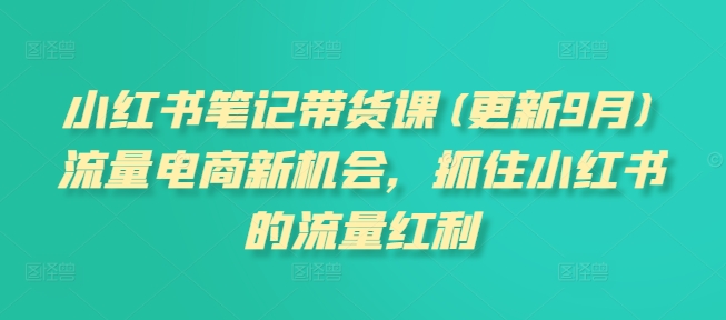 小红书笔记带货课(更新25年1月)流量电商新机会，抓住小红书的流量红利-吾藏分享