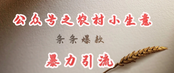deepseek写农村小项目，条条爆款，暴力引流-吾藏分享