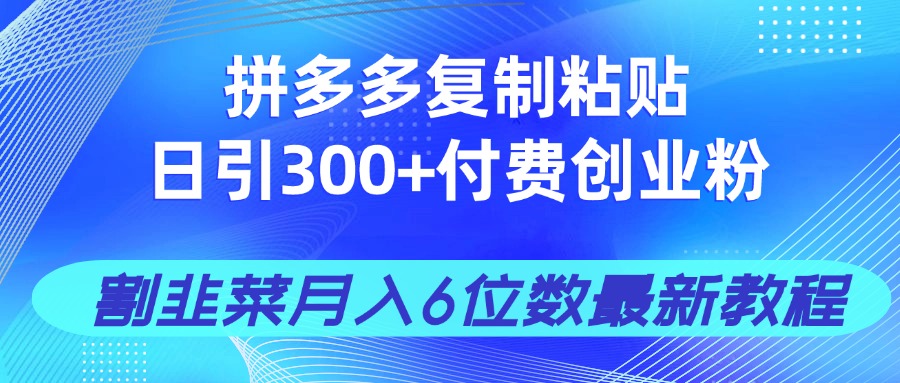 拼多多复制粘贴日引300+付费创业粉，割韭菜月入6位数最新教程！-吾藏分享