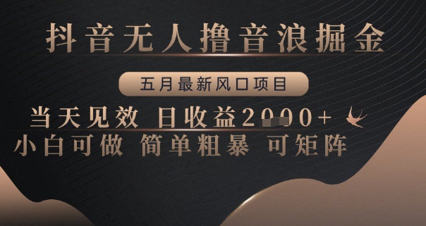 抖音无人撸音浪掘金，五月最新风口项目，当天见效，日收益多张，小白可做简单粗暴可矩阵【揭秘】-吾藏分享