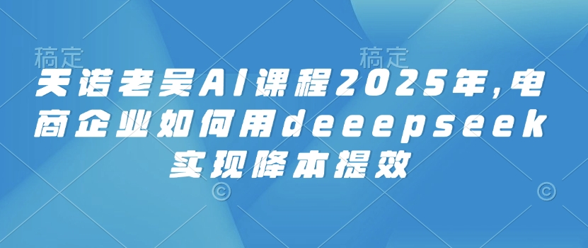 天诺老吴AI课程2025年，电商企业如何用deeepseek实现降本提效-吾藏分享
