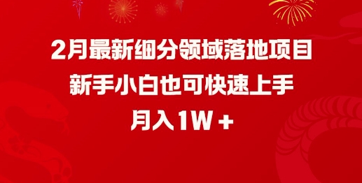 2月最新细分领域落地项目，新手小白也可快速上手，月入1W-吾藏分享