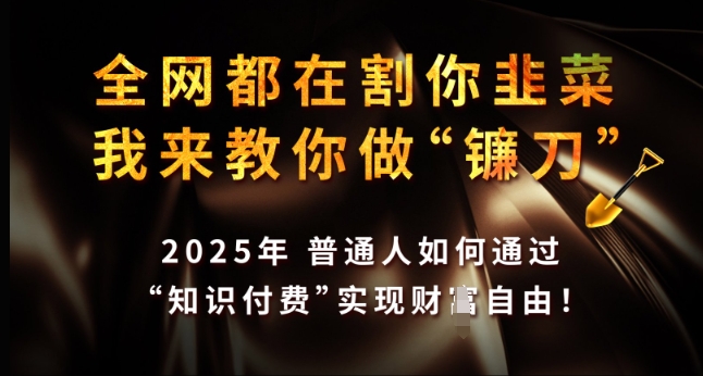 全网都在割你韭菜，我来教你做镰刀，2025年普通人如何通过 知识付费 实现财F自由【揭秘】-吾藏分享