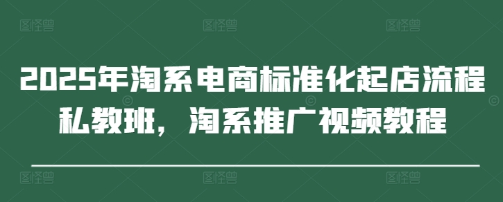 2025年淘系电商标准化起店流程私教班，淘系推广视频教程-吾藏分享