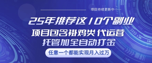 25年推荐这10个副业项目包含褂鸡类、代运营托管类、全自动打金类【揭秘】-吾藏分享